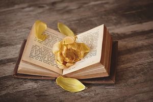 Livres sur le développement personnel