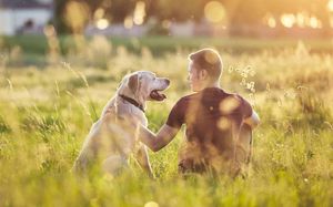 Les animaux au secours du développement personnel